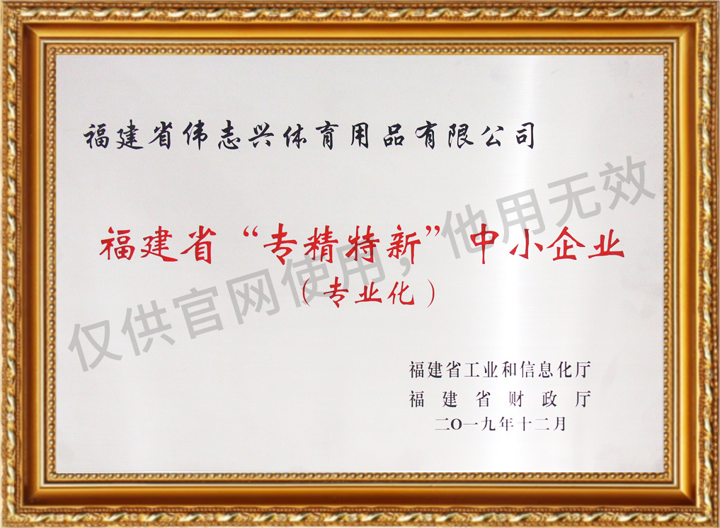 福建省专精特新中小企业