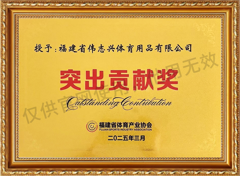 突出贡献奖
